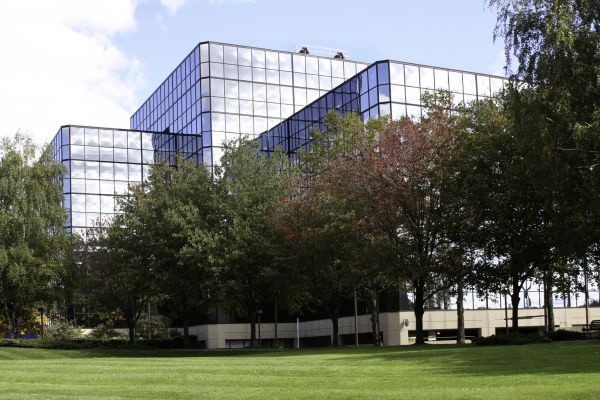 Commercial Tree Trimming in State College