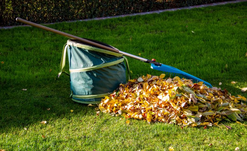 Leaf Collection in Gardens