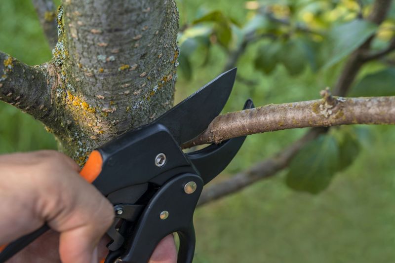 Safe Tree Pruning Equipment