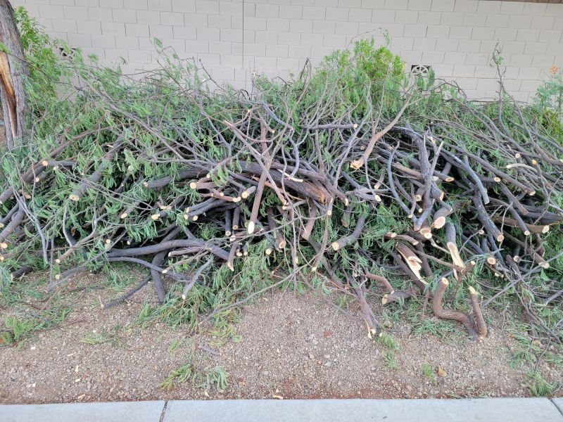 Material Picks that Last