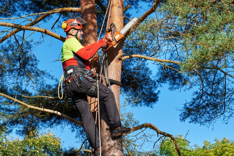 Specialized Tree Care Equipment